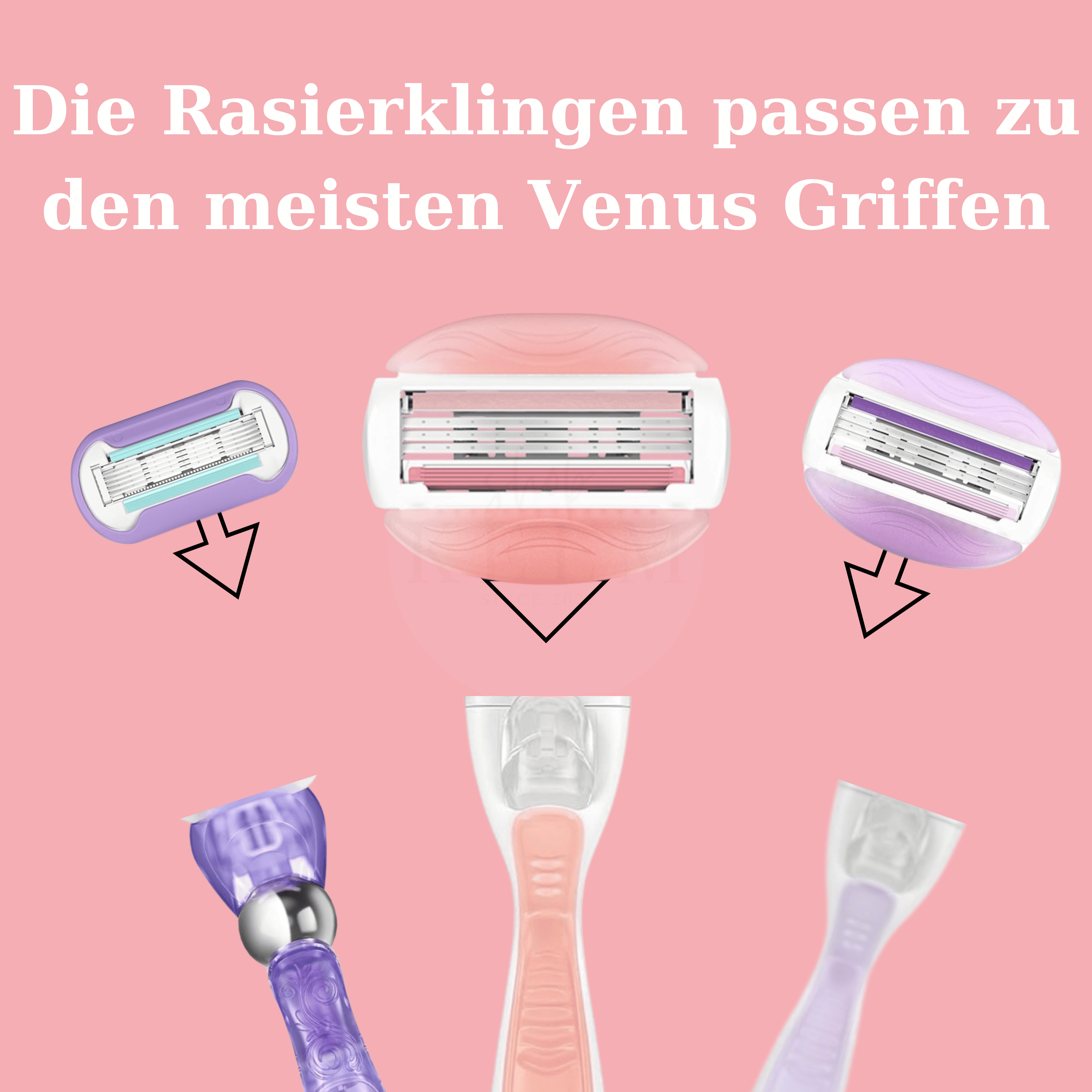 Rasierklingen passen zu allen Venus Griffen
