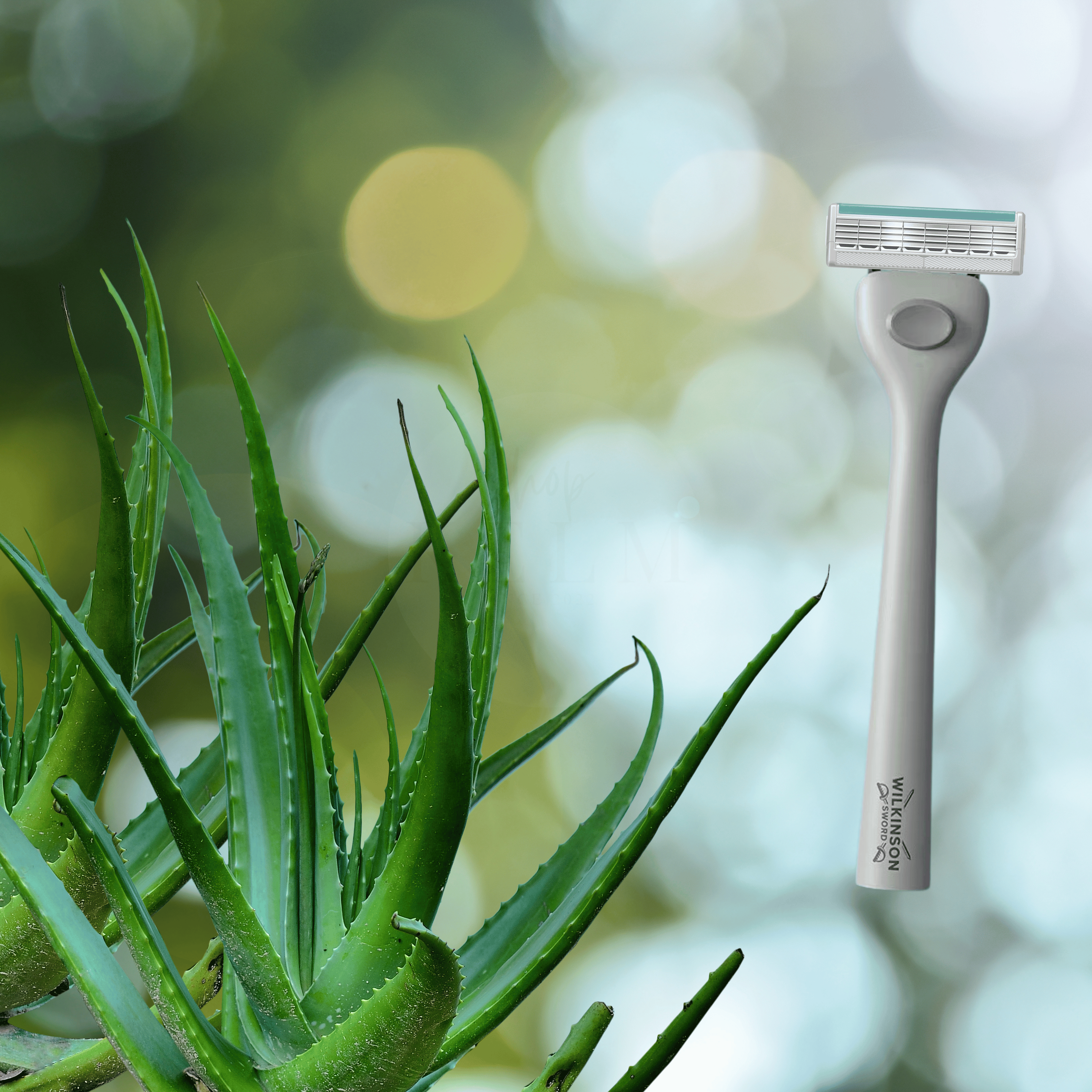 Wilkinson Sword Quattro 4 Skin Protection Rasierer mit Aloe Vera Pflege-Gleitstreifen für empfindliche Haut.
