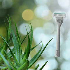Wilkinson Sword Quattro 4 Skin Protection Rasierer mit Aloe Vera Pflege-Gleitstreifen für empfindliche Haut.